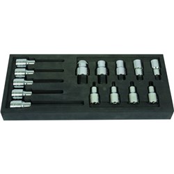PROFESSIONAL HEX SOCKET BIT SET (14 PIECE)