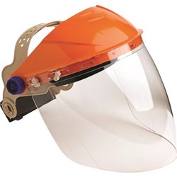 BROWGUARD & CLEAR VISOR